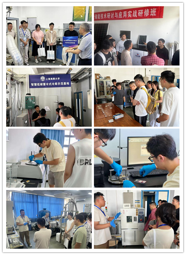 1757039349540787.png 66.png